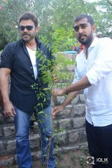  Venkatesh At Haritha Haaram Event